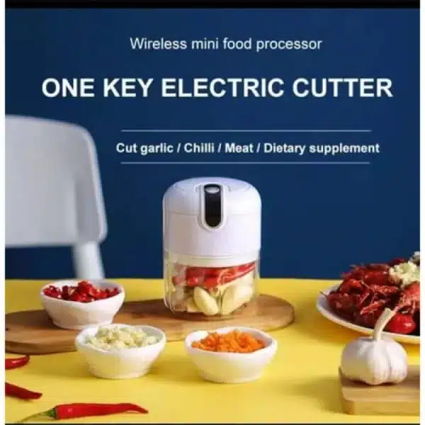 Mini Electric Food Chopper for Vegetables & Garlic Prep